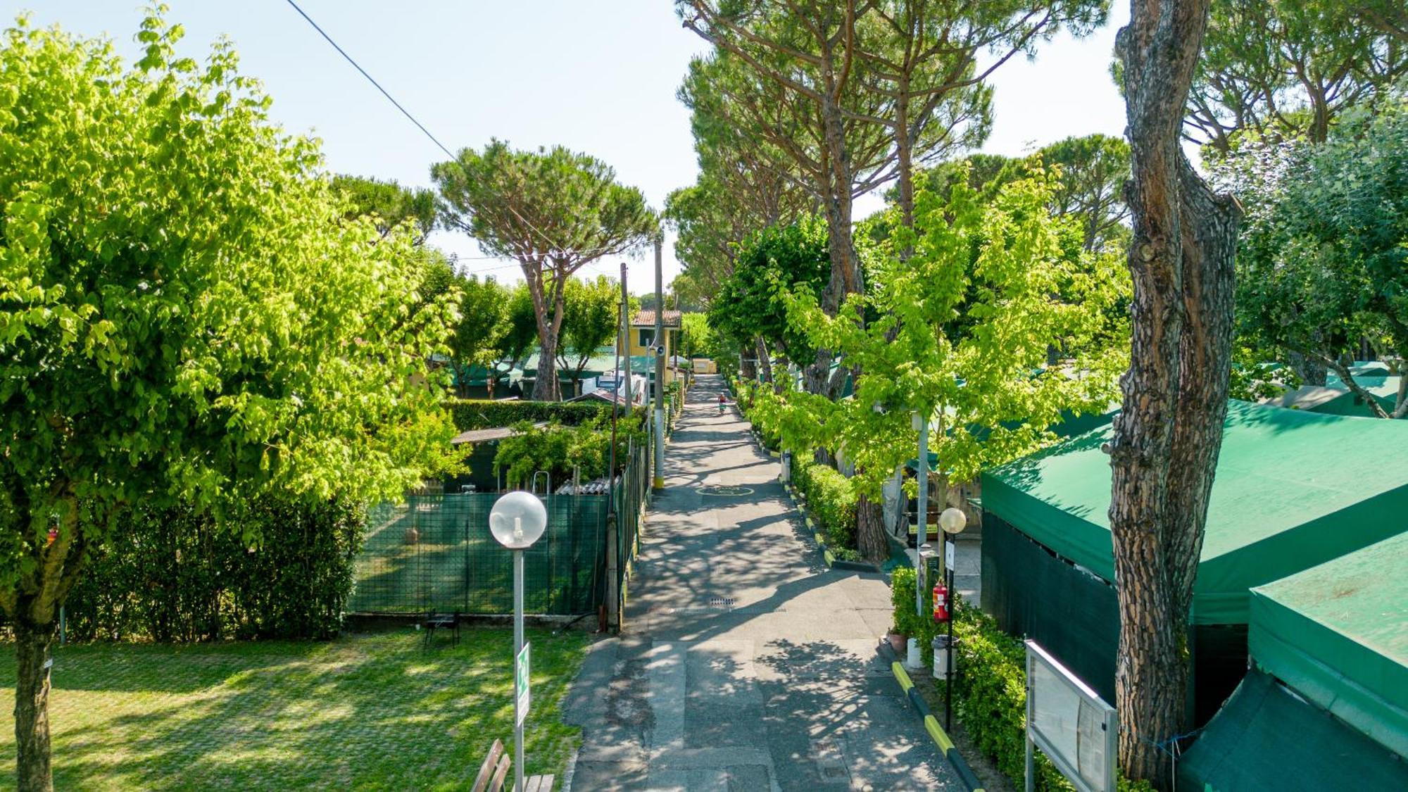 Camping Apuano Marina di Massa Exterior photo