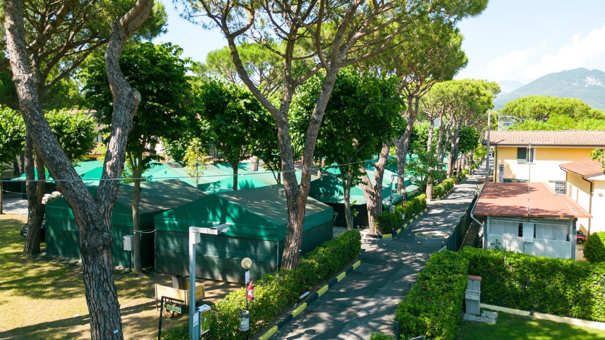 Camping Apuano Marina di Massa Exterior photo